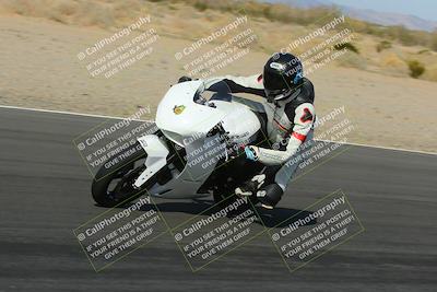 media/Feb-04-2023-SoCal Trackdays (Sat) [[8a776bf2c3]]/Turn 6 Inside (1025am)/